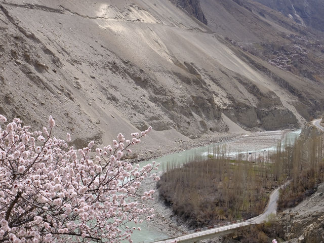 🌸Spring in Pakistan – A Season Like No Other