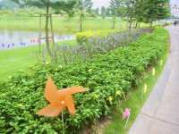 Morning Calm & Duck Encounters at Eco Majestic City Park