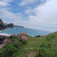 Kynance Cove, Cornwall
