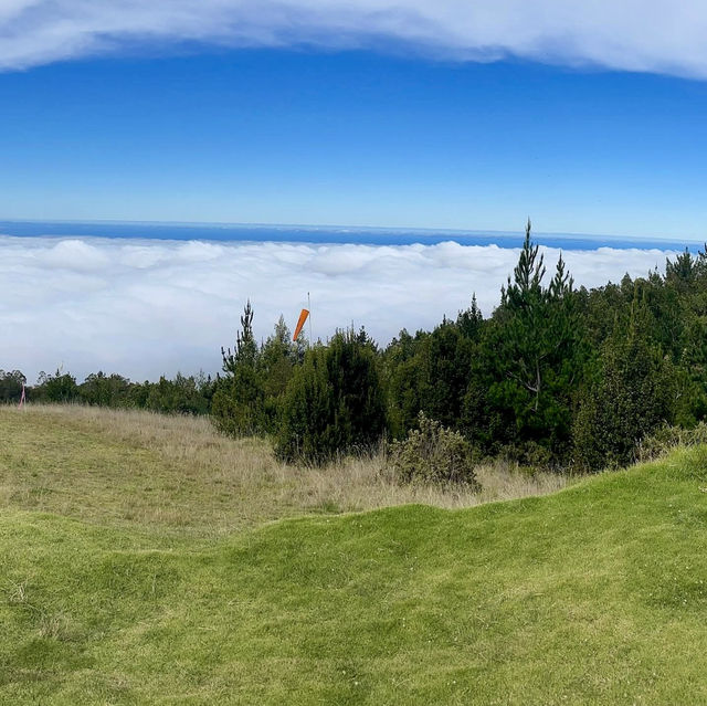 Polipoli Spring State Recreation Area – Maui