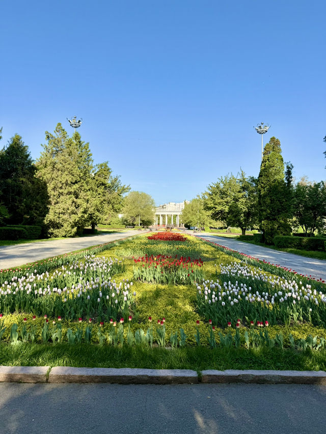 A Nature-Loving Walk in Almaty 🌿🌷