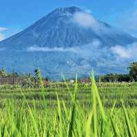 📍A Day in an Indonesian Volcano Town – Just Being a Carefree Kid 🧒☁️