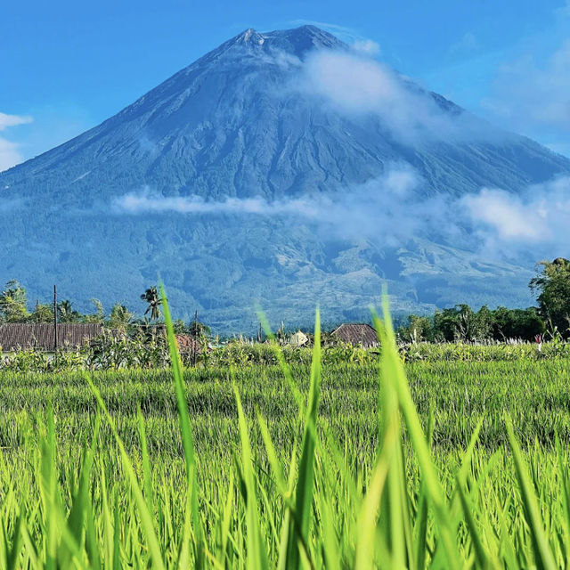 📍A Day in an Indonesian Volcano Town – Just Being a Carefree Kid 🧒☁️
