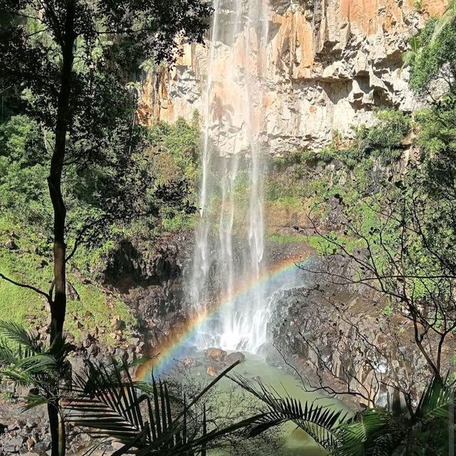 Springbrook National Park – QLD