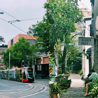 Sydney's Urban Charm and Wildlife in One Day