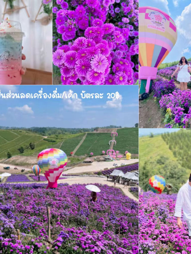 4 วัน 3 คืน เขาค้อ - ภูทับเบิก -เชียงคาน ✨