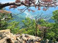 Lake Views, and a Stair Party in Chuncheon