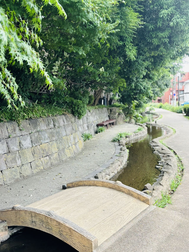 東京🇯🇵六郷用水の跡には錦鯉と緑がいっぱい🌿⟡.·お散歩に最適✌️ˊ˗