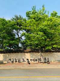 김해 숨은 매력 넘치는 도심 속 힐링코스!✨🏞️