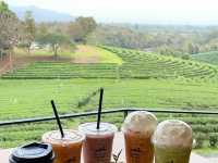 How I spent 1 day in Chiang Rai