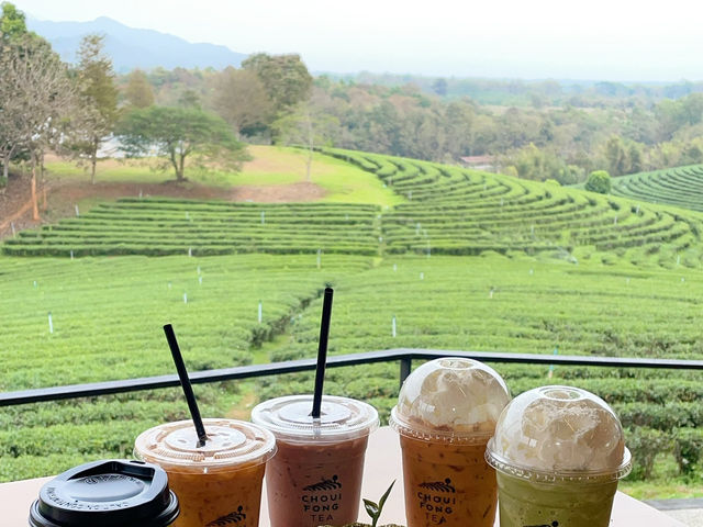 How I spent 1 day in Chiang Rai