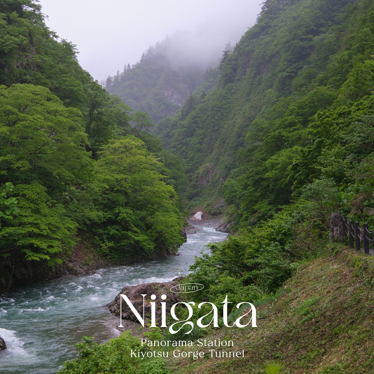 Tunnel of Light จุดเช็คอินสุดปังแห่งเมือง Niigata🇯🇵