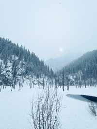 Frozen Dreams: A Winter Escape to Lake Kaindy