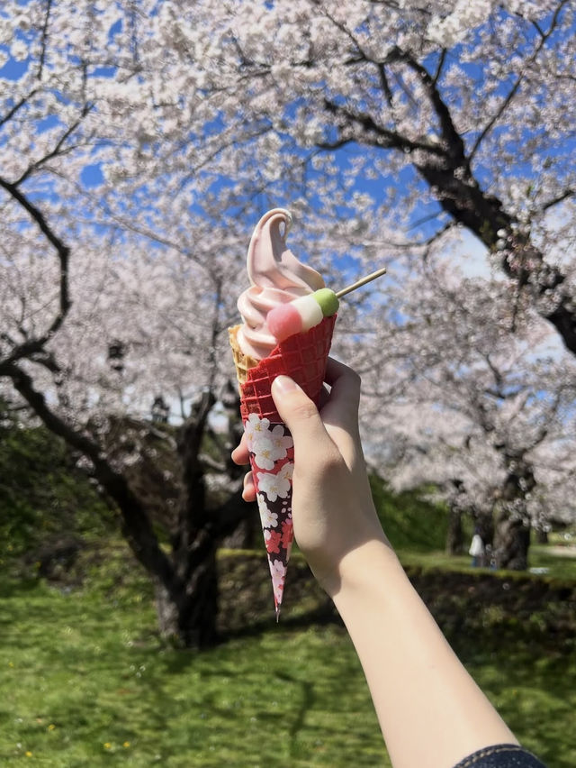 🎯【北海道・五稜郭公園】星型要塞の歴史と桜が彩る、函館の絶景スポット