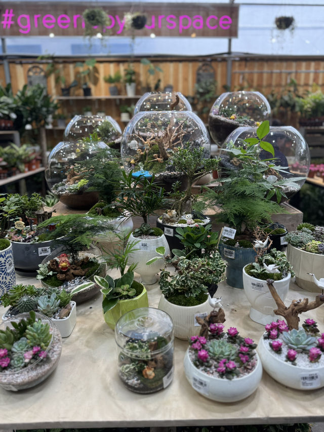 Summer Vibes & Plant Finds 