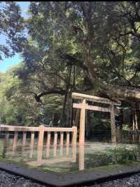 🦌【茨城・鹿嶋市 鹿島神宮】勝負運アップ＆旅立ちにおすすめの “関東最強パワースポット” 