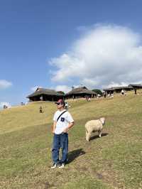 Akha farmville