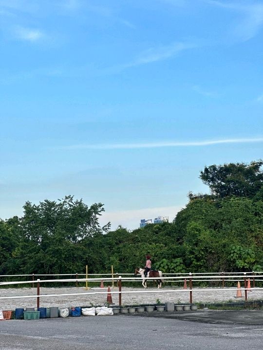 Gallop Into Serenity: Discover the Magic of 3S Equestrian Cyberjaya 🐎🌿