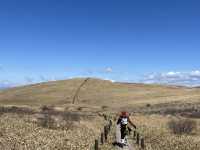 🌾長野・霧ヶ峰高原｜四季折々の花々と爽やかな高原風が魅力の癒しスポット