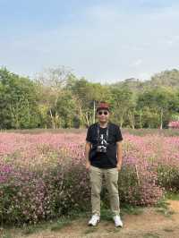 2 Days in Khao Yai: Wine, Flowers & Hidden Gems – My Private Tour Experience from Bangkok 🍷🌻