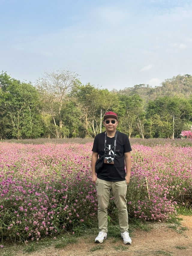 2 Days in Khao Yai: Wine, Flowers & Hidden Gems – My Private Tour Experience from Bangkok 🍷🌻