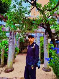 擁有最古老的歷史，作為博多的鎮守神社