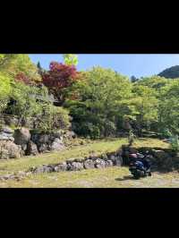 【紅葉と祈りの絶景🍂天開山泰運寺で心を整える旅】