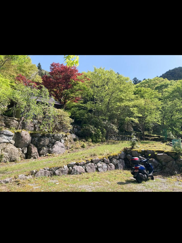 【紅葉と祈りの絶景🍂天開山泰運寺で心を整える旅】