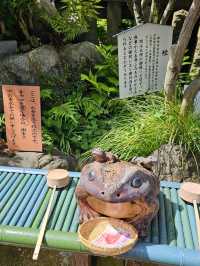 合法洗錢好靈驗？來犬山〔三光稻荷神社〕招財開運🦊💰