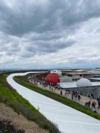 Kyoto and World Expo Osaka 