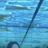 流氷モチーフの科学館が楽しすぎる