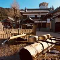 ⛰️ Mount Misen Summer Survival Guide