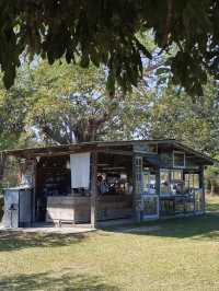 🌿 Far Away Cafe – Mae Taeng, Chiang Mai