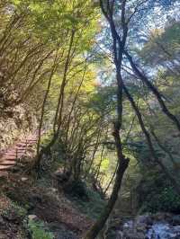 【天滝】まさに“天から落ちる滝”！自然の神秘に包まれる絶景ハイキング旅🌿🌈