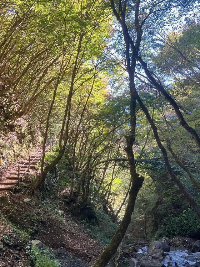 【天滝】まさに“天から落ちる滝”！自然の神秘に包まれる絶景ハイキング旅🌿🌈