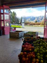 Fresh Picks and Fruity Treats at Jackson Orchard