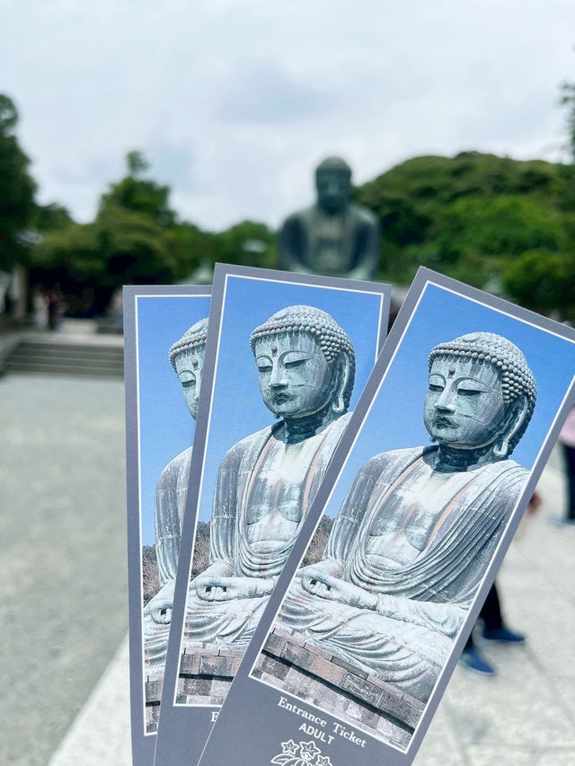 佛也太大了吧！？鐮倉大佛震撼登場🔥