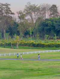 สวนอบจ.เชียงใหม่ ชิลสุดๆ 🍃