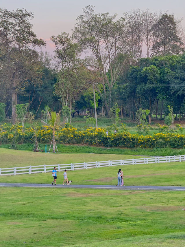 สวนอบจ.เชียงใหม่ ชิลสุดๆ 🍃