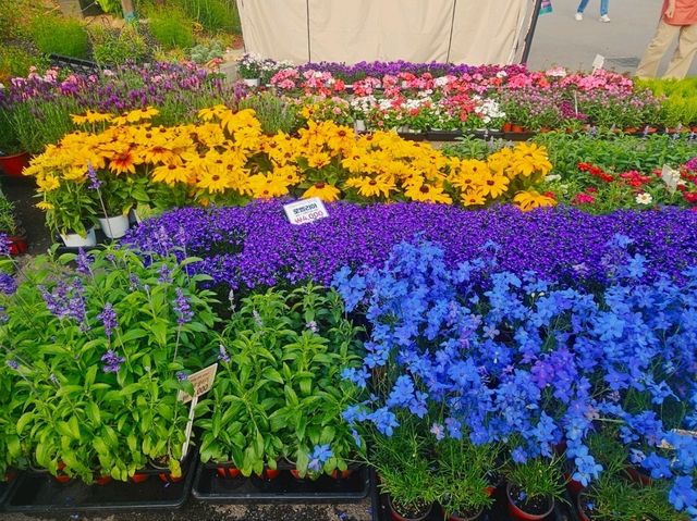Strolling around Boramae where the Seoul International Garden Festival 