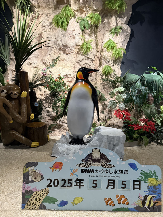 沖繩最新商場水族館🫶🏻DMM🫡超岩親子遊