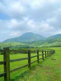 Summer Escape to Qingtiangang Grassland