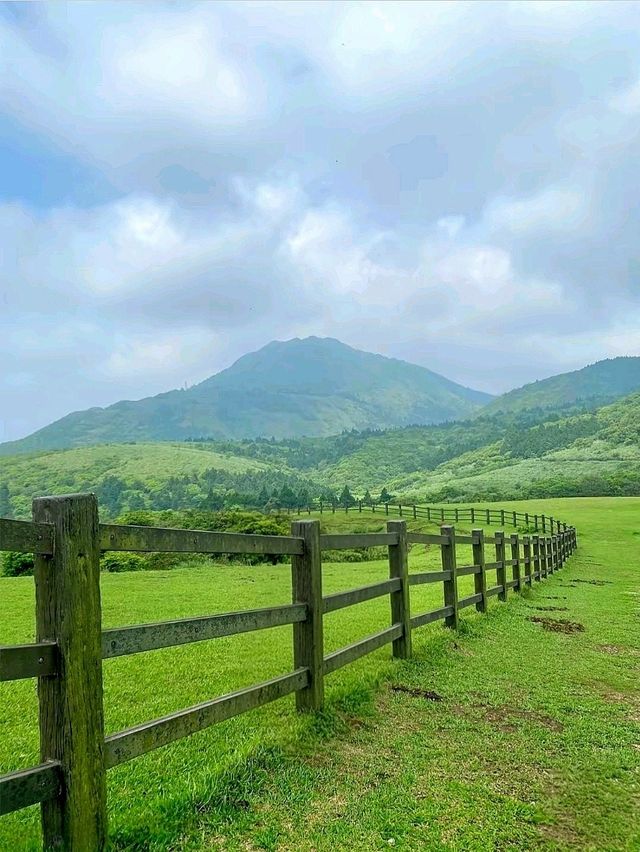 Summer Escape to Qingtiangang Grassland