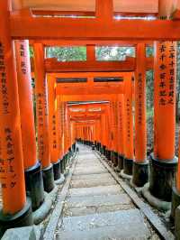 A Quiet Path Through Fushimi Inari Taisha