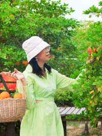 Move to Mountain Garden Cafe