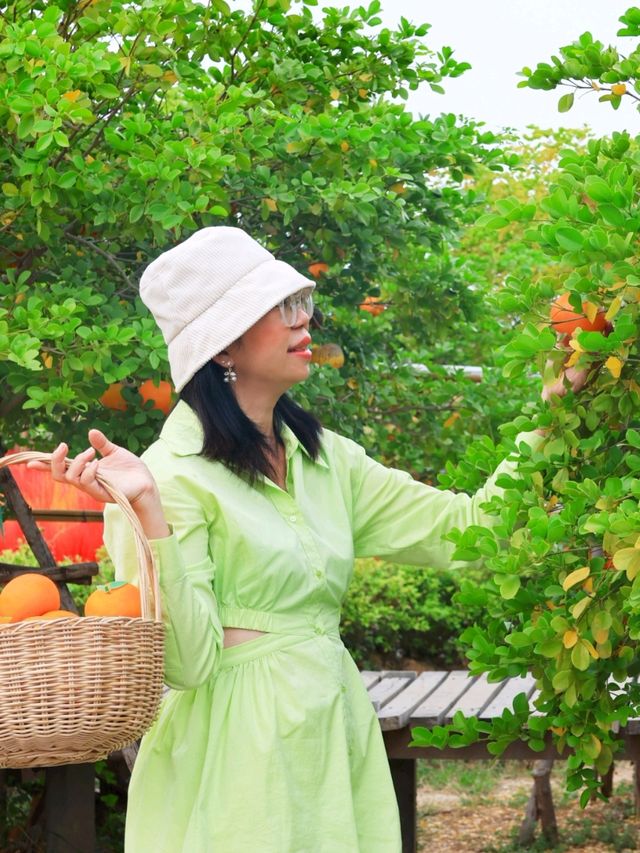 Move to Mountain Garden Cafe