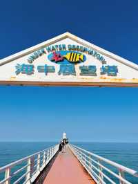 【海の中をのぞいてみよう】沖縄の海を間近に感じる「ブセナ海中公園」