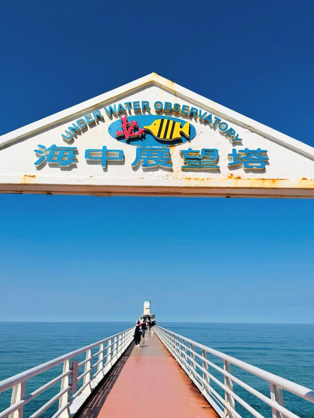 【海の中をのぞいてみよう】沖縄の海を間近に感じる「ブセナ海中公園」