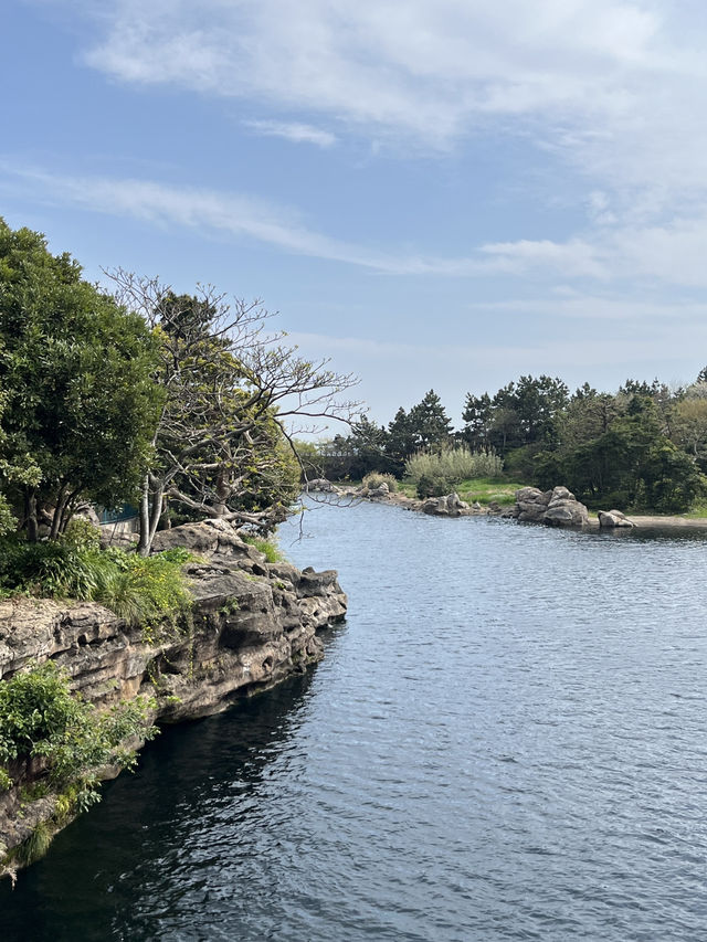 🧜‍♀️東京迪士尼Sea爆玩全攻略｜一秒進入奇幻港口，最夢幻的不是童話，而是你！