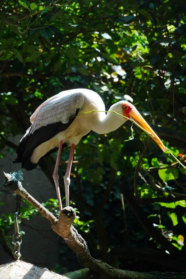 ~汕頭動物園~奇妙世界~